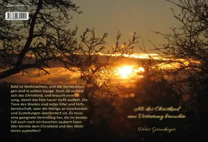 Buch "Als das Christkind eine Vertretung brauchte" von Doris Grondinger Buch "Als das Christkind eine Vertretung brauchte" von Doris Grondinger