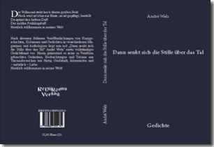 Buch "Dann senkt sich die Stille über das Tal" von André Welz