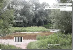 Buch "Im Weidengeflecht"