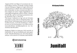 Buch "Junifall"