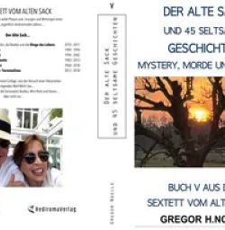 Buch "Der alte Sack und 45 seltsame Geschichten"
