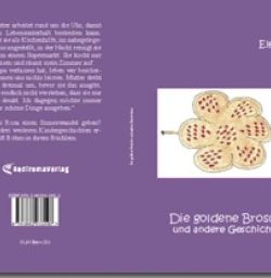 Buch "Die goldene Brosche und andere Geschichten"
