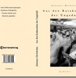 Buch "Aus den Katakomben der Ungeduld"