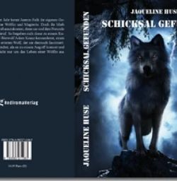 Buch "Schicksal gefunden"