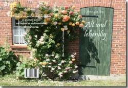 Buch "Alt und lebendig"