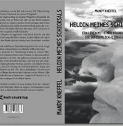 Buch "Heldin meines Schicksals"