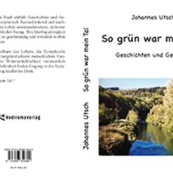 Buch "So grün war mein Tal"