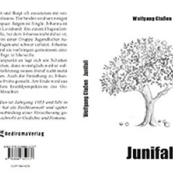 Buch "Junifall"