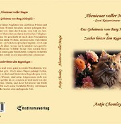 Buch "Abenteuer voller Magie"