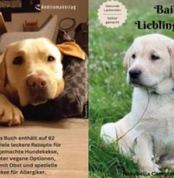 Buch "Baileys Lieblingskekse"