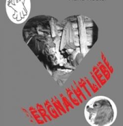 Buch "Bergnachtliebe"