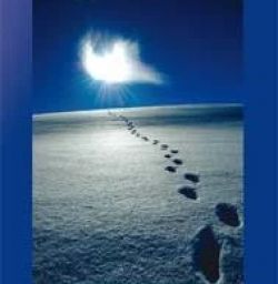 Buch "Sinnesreise"