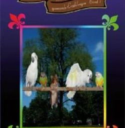 Buch "Tierische Geschichten und spannende Erzählungen - Band 1"